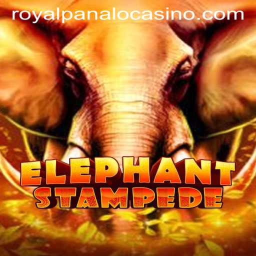 Experience the Thrill of ElephantStampede with ROYALPANALO